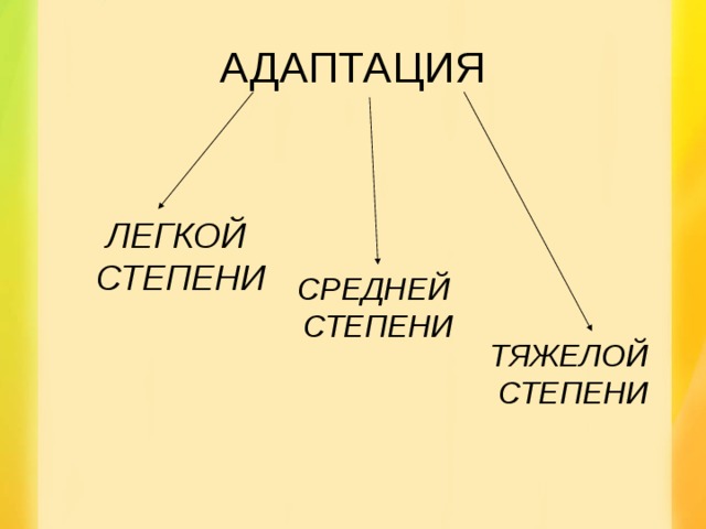 img9.jpg